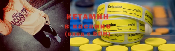 индика Алзамай