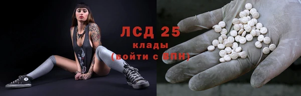 индика Алзамай