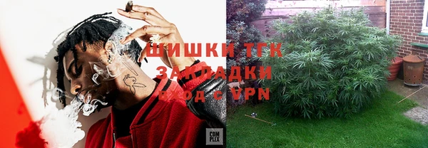 индика Алзамай
