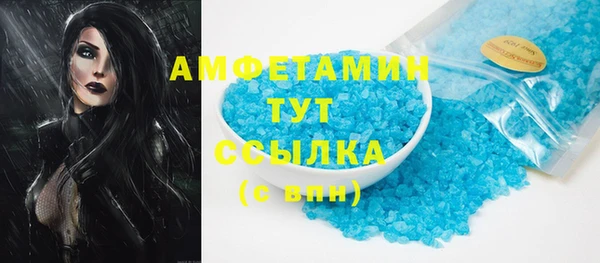 индика Алзамай