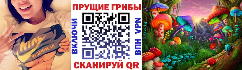 Галлюциногенные грибы Psilocybine cubensis  Богданович 